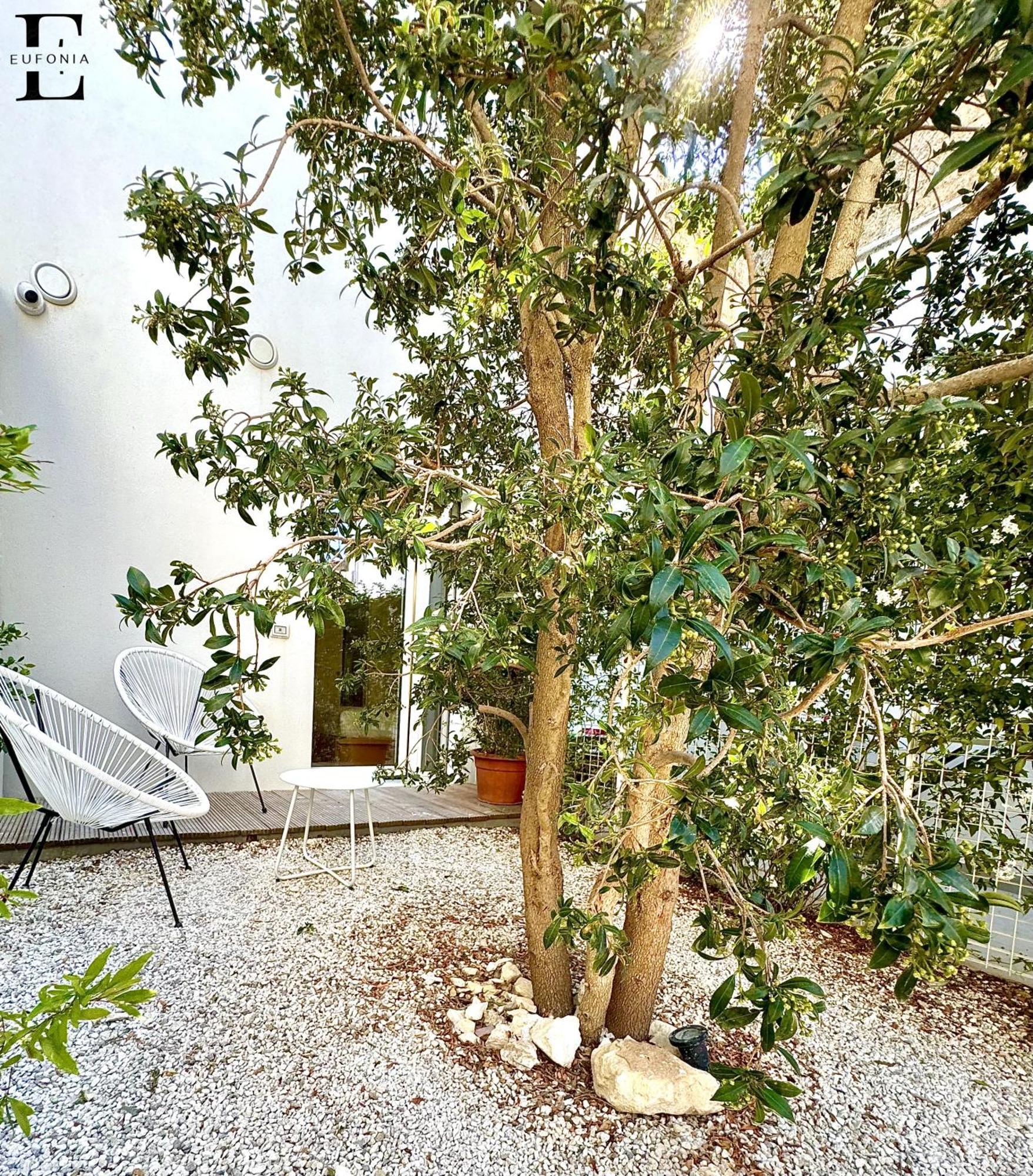 Eufonia Bed & Breakfast เลชเช ภายนอก รูปภาพ